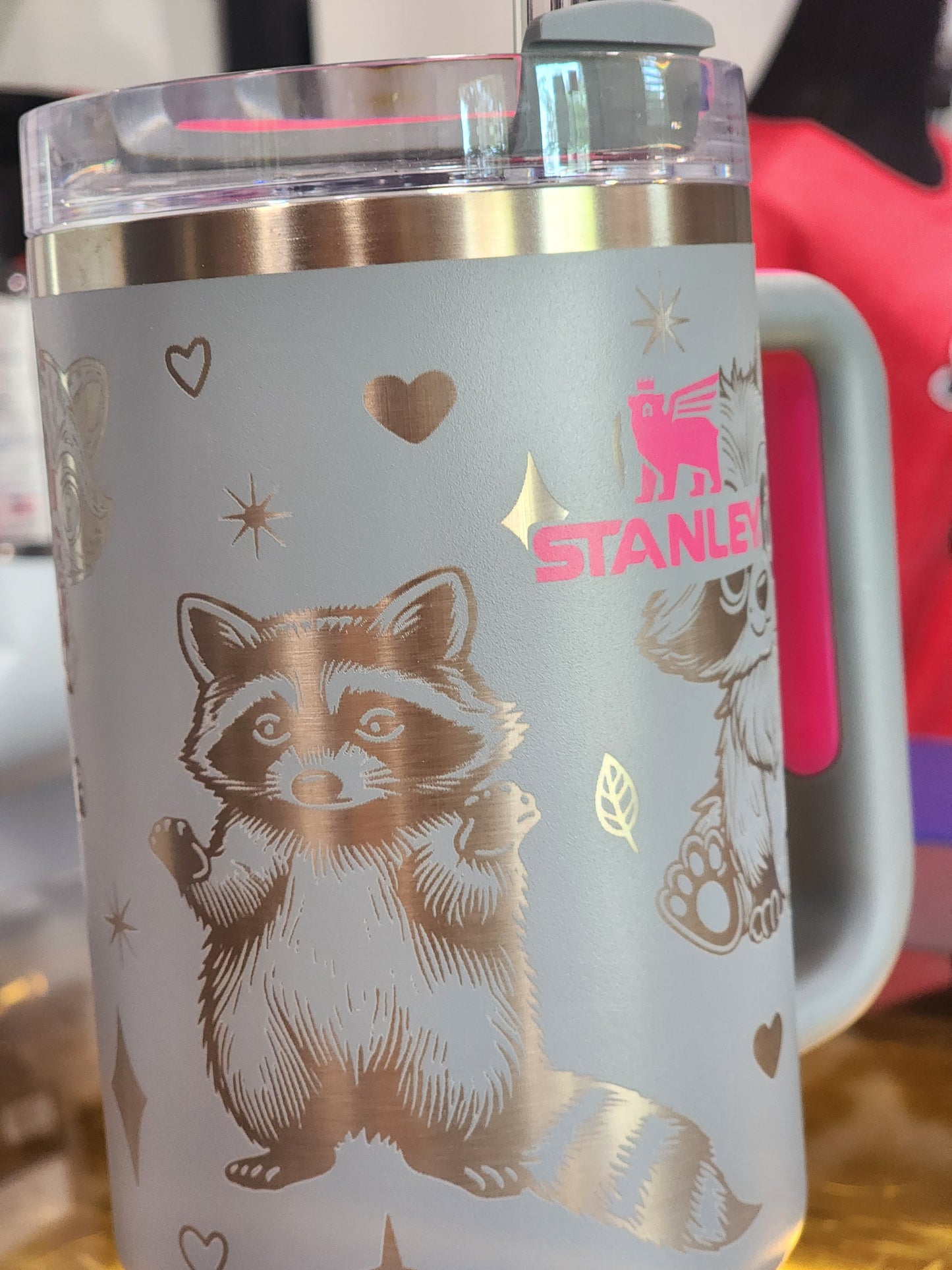 Playful Raccoon stanley