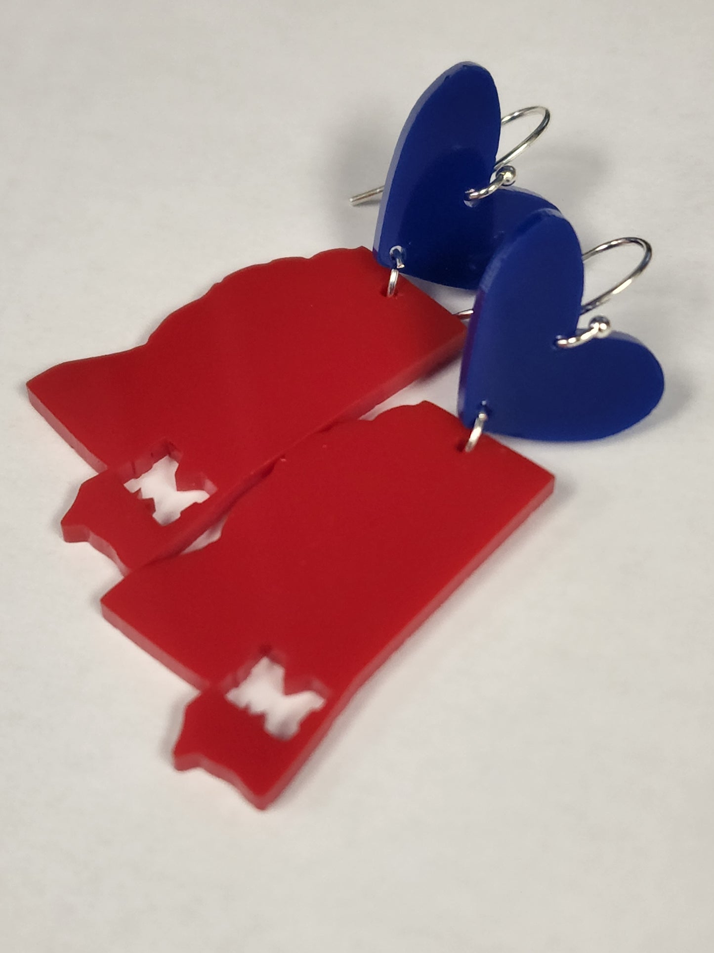 Love your State earrings