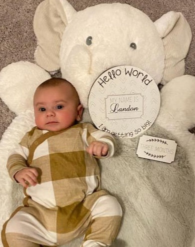 Baby milestone board