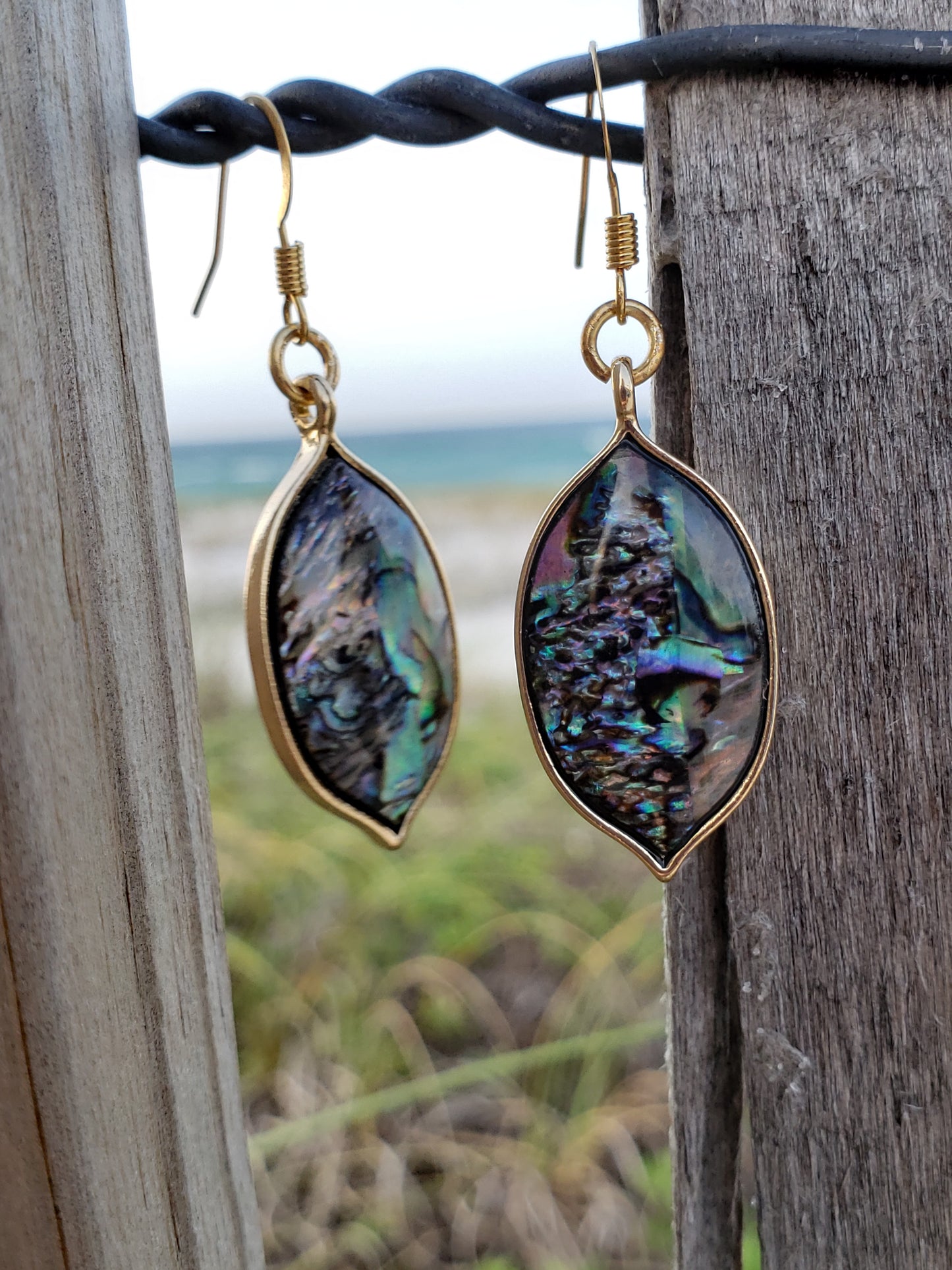 Abalone shell earrings